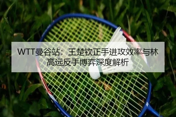 man-gu-zhan-wang-chu-qin-zheng-shou-jin-gong-xiao-lv-yu-lin-gao-yuan-fan-shou-bo-yi-shen-du-jie-xi-3-292.jpg