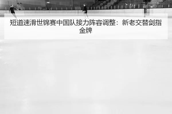 duan-dao-su-hua-shi-jin-sai-zhong-guo-dui-jie-li-zhen-rong-tiao-zheng-xin-lao-jiao-ti-jian-zhi-jin-pai-2-465.jpg