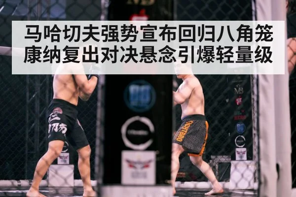 lightweight MMA fight