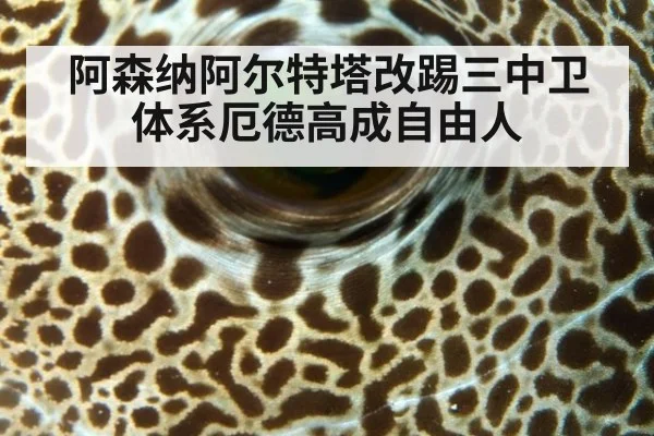 阿森纳阿尔特塔改踢三中卫体系厄德高成自由人