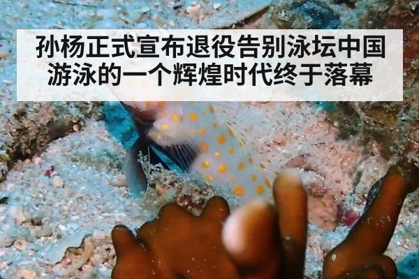 孙杨正式宣布退役告别泳坛中国游泳的一个辉煌时代终于落幕